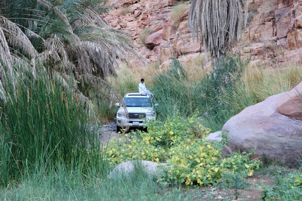 saoedi arabië 2025 11 06 (117)